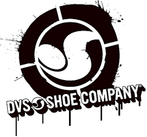 dvs-logo